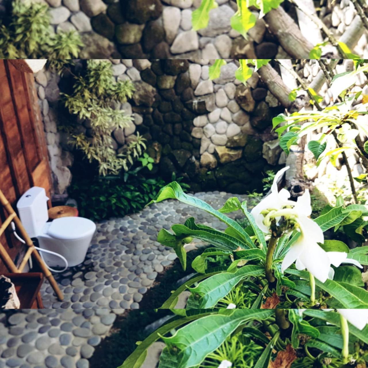 Melati Bali Homestay Canggu Exteriér fotografie